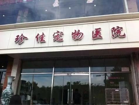 安顺吉康宠物诊所,安顺宠物医院咨询电话