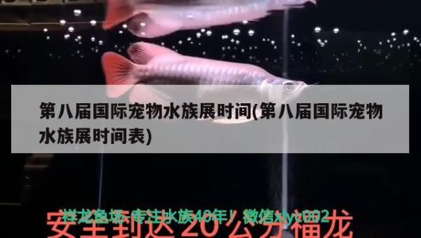第八届国际宠物水族展时间(第八届国际宠物水族展时间表) 水族展会