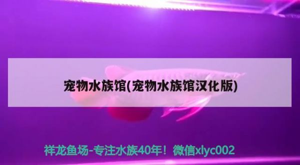 宠物水族馆(宠物水族馆汉化版) 2024第28届中国国际宠物水族展览会CIPS（长城宠物展2024 CIPS）