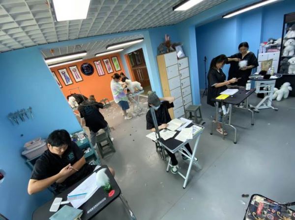 教学现场