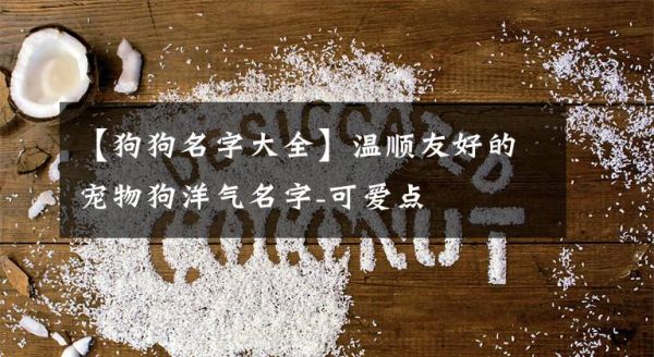 【狗狗名字大全】温顺友好的宠物狗洋气名字-可爱点文章配图