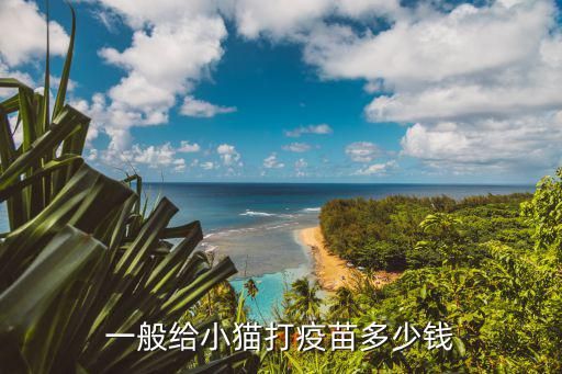 一般给小猫打疫苗多少钱