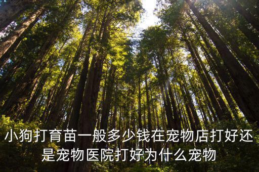 小狗打育苗一般多少钱在宠物店打好还是宠物医院打好为什么宠物