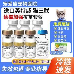 猫的宠物疫苗多少钱一次啊（宠物猫咪疫苗多少钱）