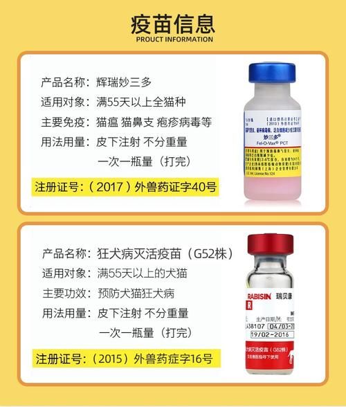 猫的宠物疫苗多少钱一次啊（宠物猫咪疫苗多少钱）