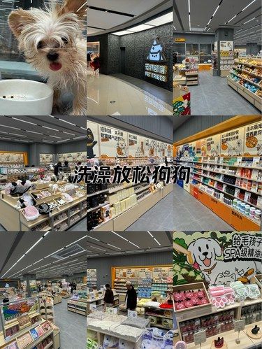 宠物部落！郑州！熙地港！开了！