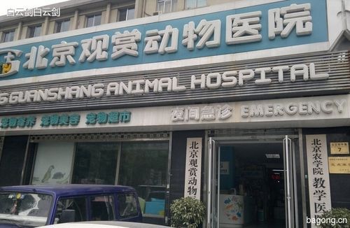 大兴林校路宠物医院,大兴林校路宠物医院怎么样
