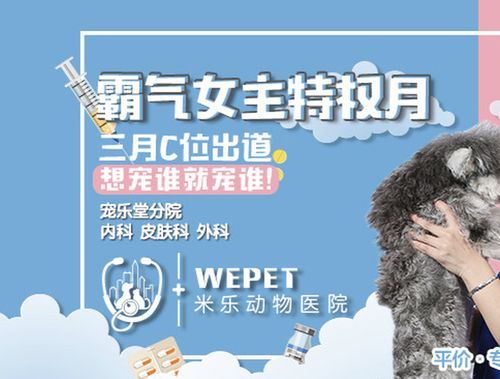 大兴林校路宠物医院,大兴林校路宠物医院怎么样