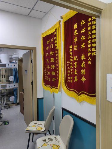 绝对值得推荐的毛孩子医院