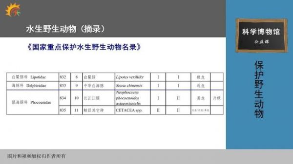 世界上现存的海龟共有8种，每一种都被列为濒危。