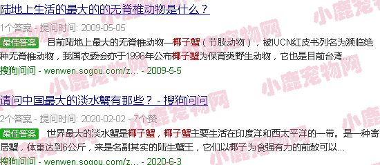 椰子蟹视频