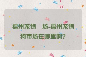 福州宠物巿场-福州宠物狗市场在哪里啊？