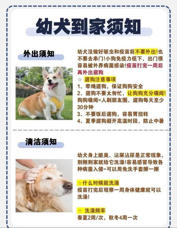 宠物饲养,宠物饲养法