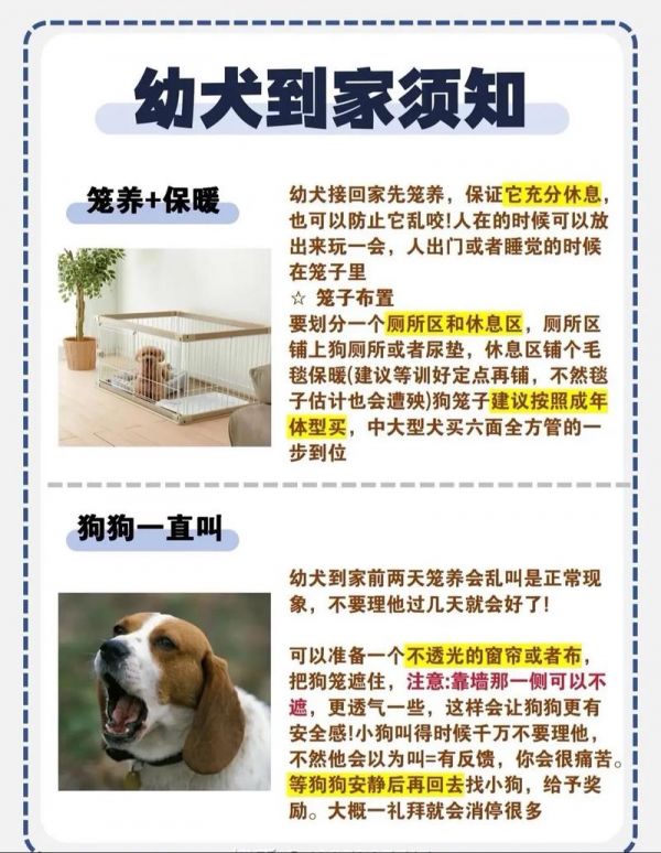 宠物饲养,宠物饲养法