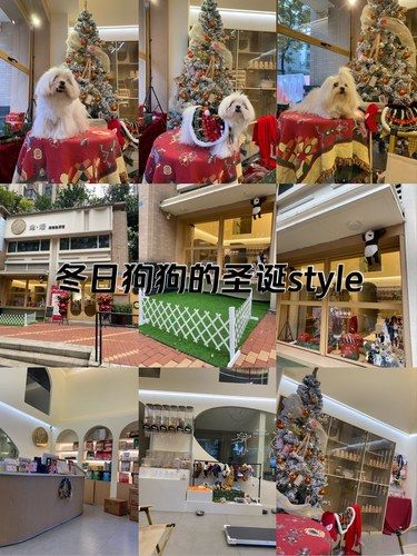 宠物店欢乐多