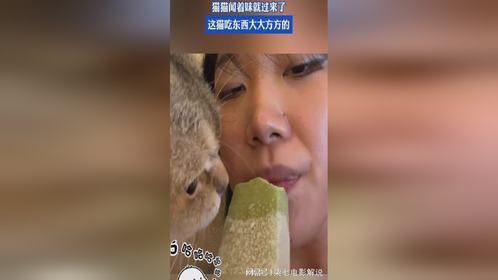 女子躺着吃雪糕时，猫猫闻着味就过来了