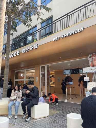 霸王茶姬宠物店