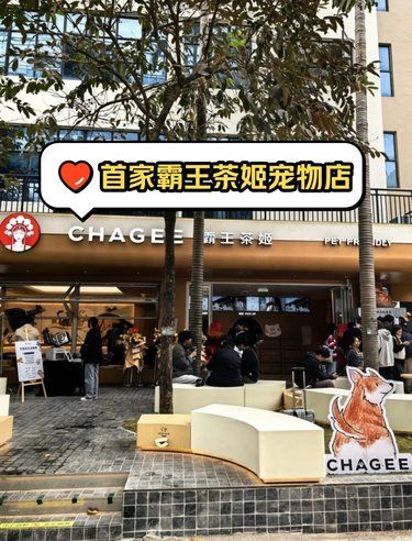 霸王茶姬首家宠物店开业