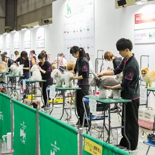 青岛国际宠物展暨跨境电商博览会现场图片