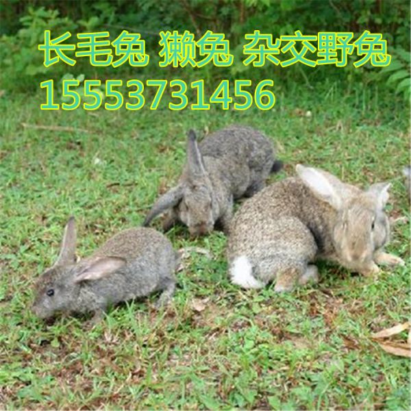 201422818952609