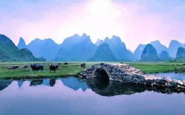 梦到好多猫是什么意思周公解梦 有何预兆