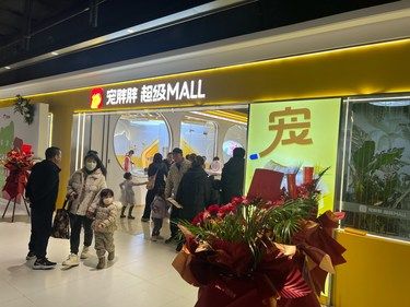 in77开的宠胖胖真的超级棒！