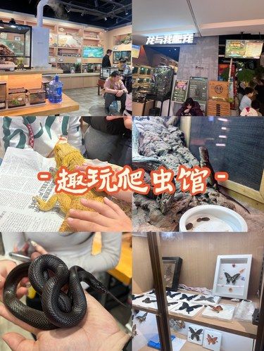 萌趣小爬虫，开启奇妙自然体验
