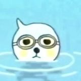 蛙宝