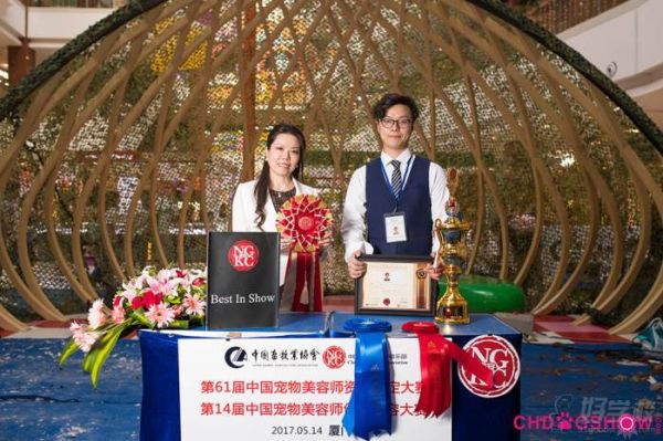 荣誉展示