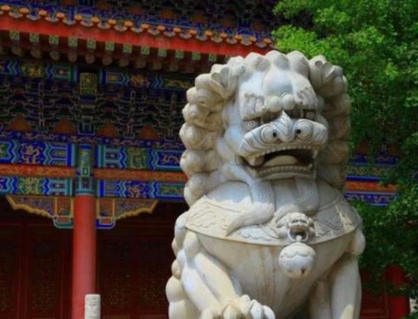 “镇宅吉祥物”为何是狮子, 而不是老虎 说了你可能不相信
