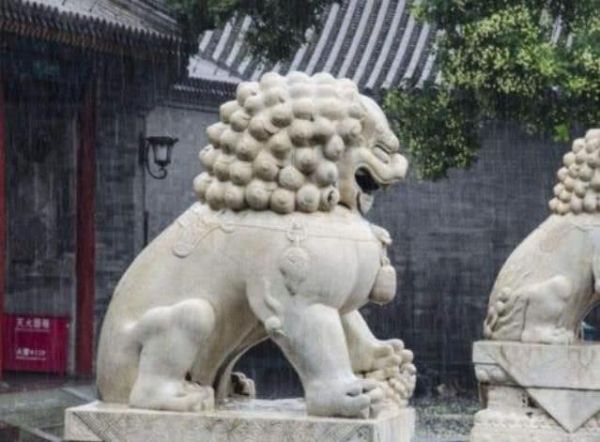 “镇宅吉祥物”为何是狮子, 而不是老虎 说了你可能不相信