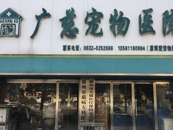 枣庄宠物?枣庄宠物医院哪家好!