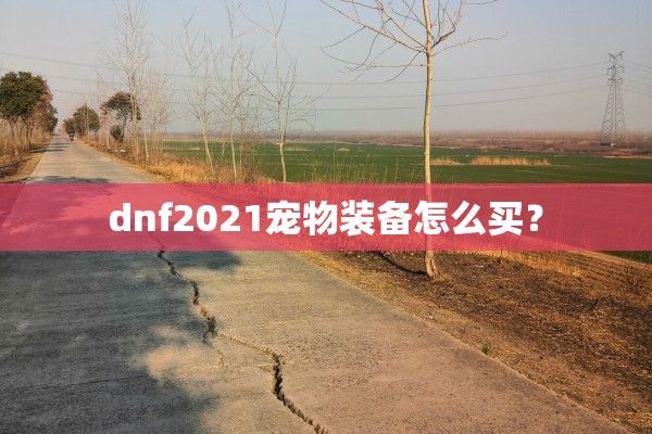 dnf2021宠物装备怎么买？