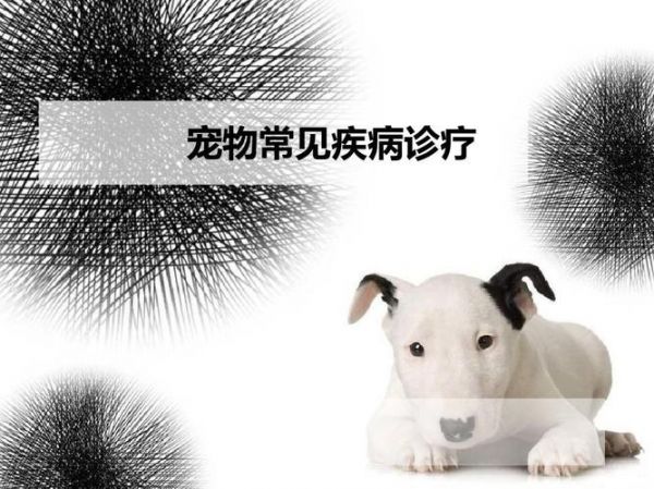 宠物常见病,宠物常见病图