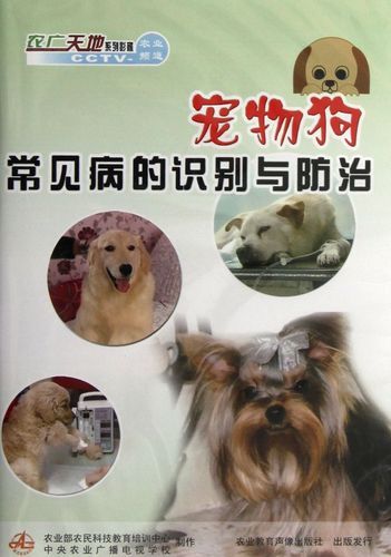 宠物常见病,宠物常见病图