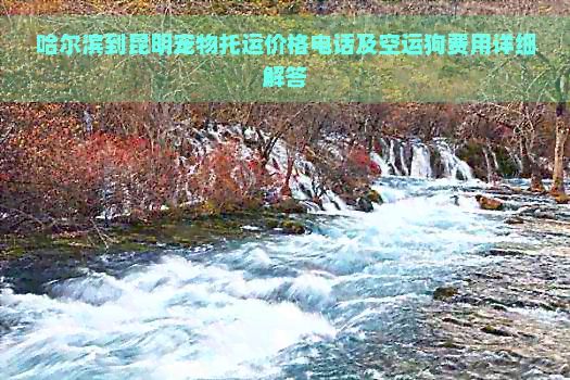 哈尔滨到昆明宠物托运价格电话及空运狗费用详细解答