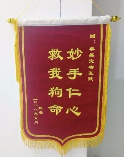 给宠物医生的锦旗,给宠物医生的锦旗寄语