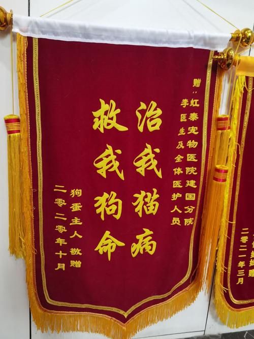 给宠物医生的锦旗,给宠物医生的锦旗寄语