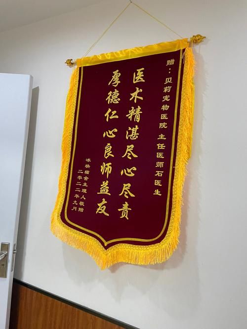 赠送宠物?赠送宠物医生锦旗用语大全 感恩!
