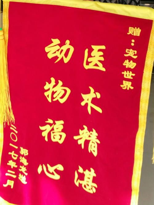 宠物医院的锦旗,宠物医院的锦旗有什么寓意