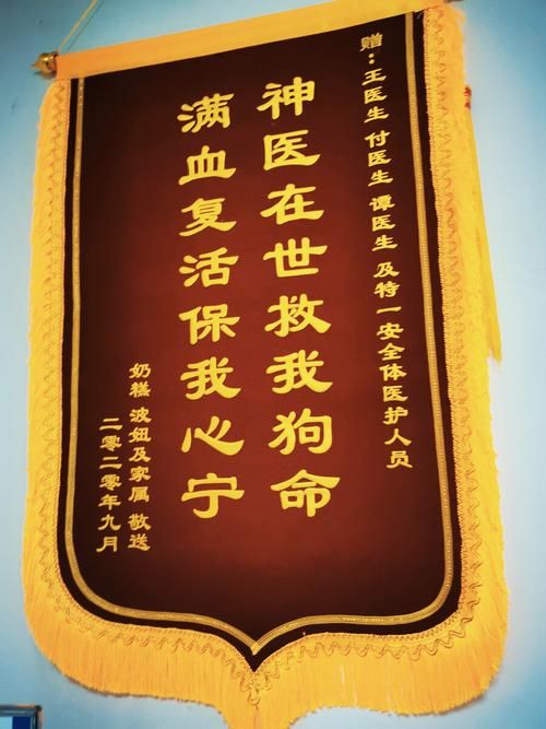 宠物医院的锦旗,宠物医院的锦旗有什么寓意