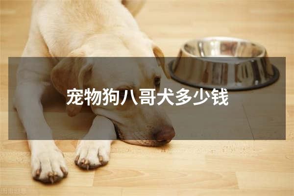 宠物狗八哥犬多少钱