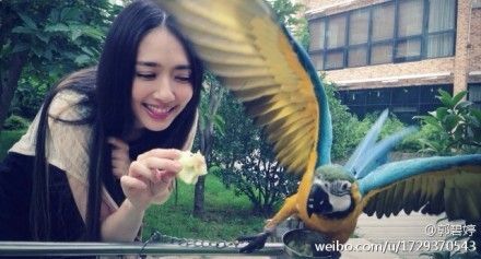 郭碧婷甜美出镜喂食金刚鹦鹉