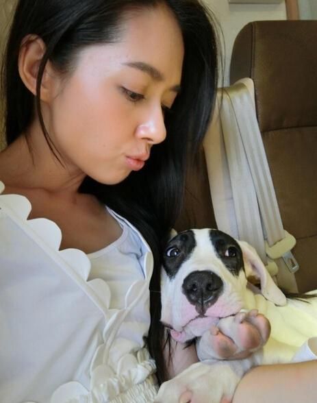 郭碧婷与爱犬自拍 为何孙红雷莫名躺枪(图)