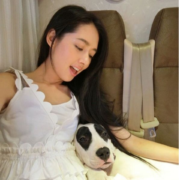 郭碧婷与爱犬 网友:求孙红雷心里阴影谬【组图】