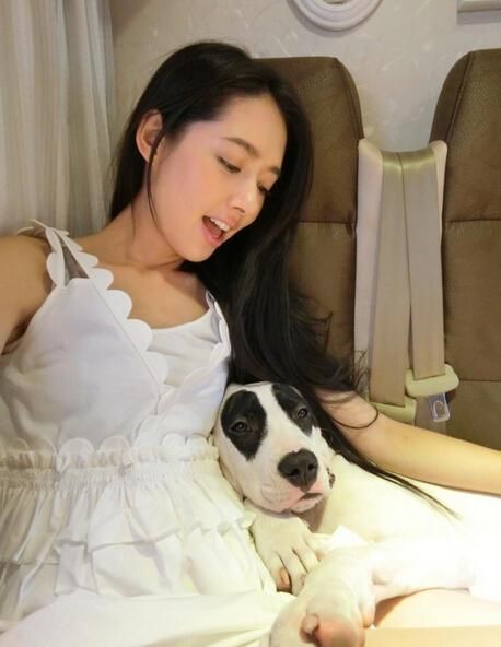 郭碧婷与爱犬自拍 为何孙红雷莫名躺枪(图)
