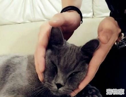 郭碧婷养20只狗10只猫40只鸟在家里，如果你的女朋友也养这么多，你能接受吗