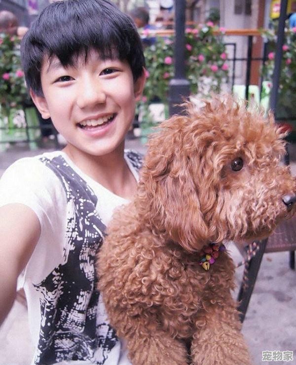 郭碧婷养20只狗10只猫40只鸟在家里，如果你的女朋友也养这么多，你能接受吗