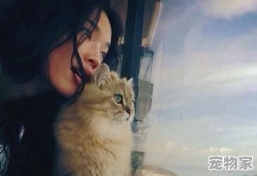 郭碧婷养20只狗10只猫40只鸟在家里，如果你的女朋友也养这么多，你能接受吗