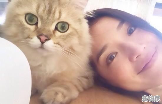 郭碧婷养20只狗10只猫40只鸟在家里，如果你的女朋友也养这么多，你能接受吗